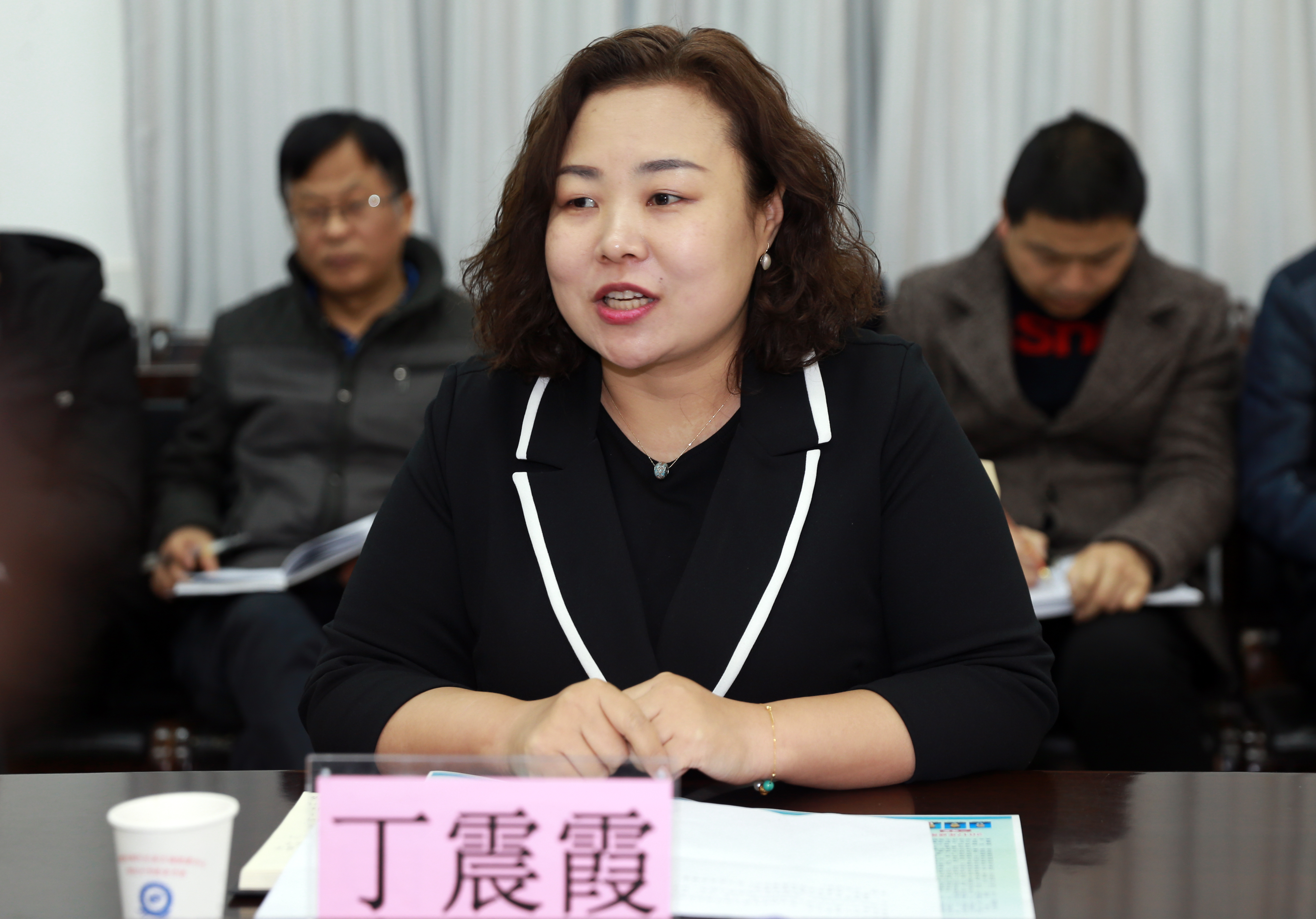 礼泉县副县长丁震霞讲话