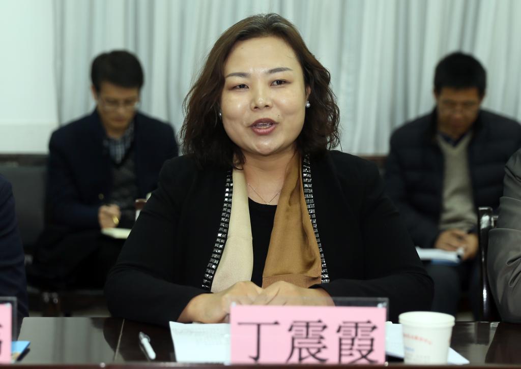 礼泉县副县长丁震霞讲话