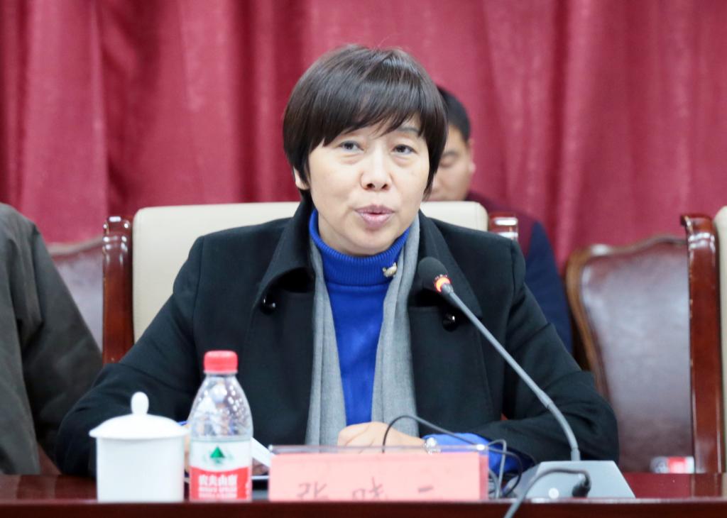 集团理事长、我院院长张晓云作集团工作报告