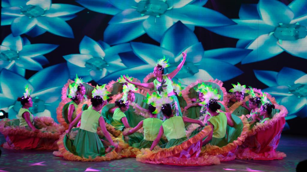 我院大学生艺术团奉上精彩节目